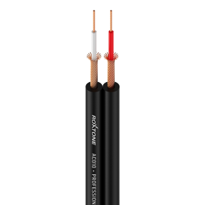 AC010